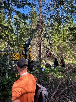Excursion participants watch a thinning machine in operation