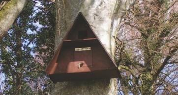 Installing barn owl nest boxes