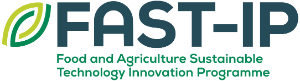 FAST-IP Logo