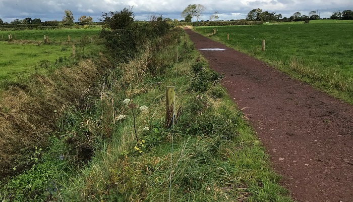 Managing farm roads to protect water quality