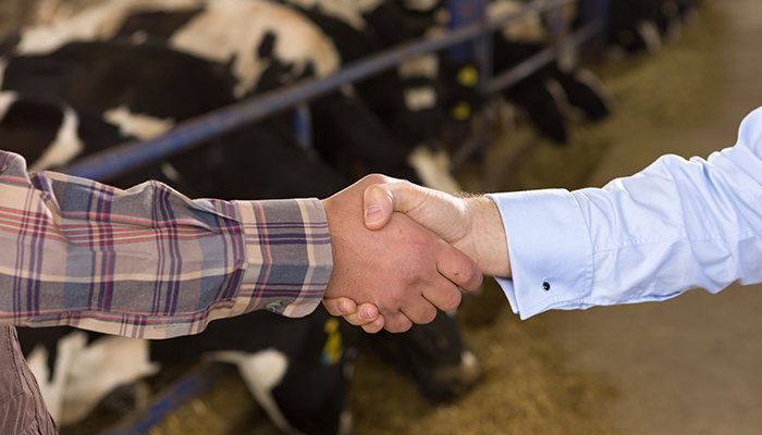 Examining the collaborative farming options