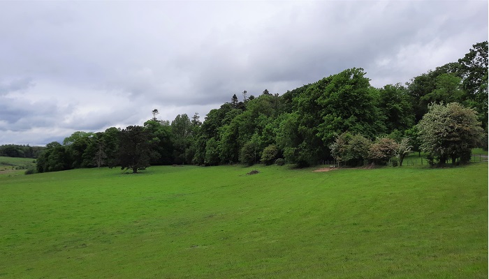 Woodlands in Co Cavan