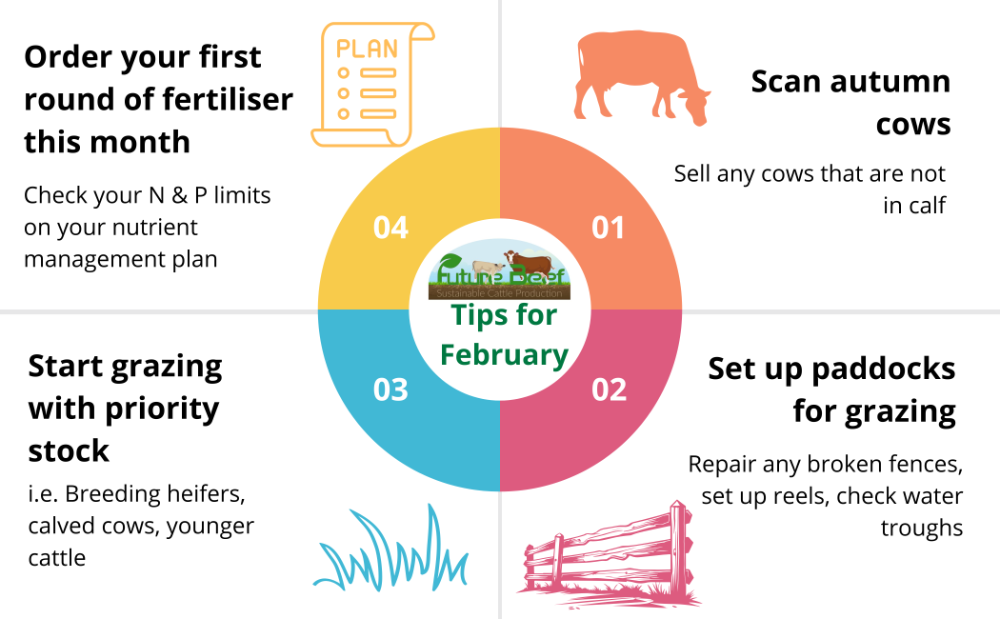Top tips for February