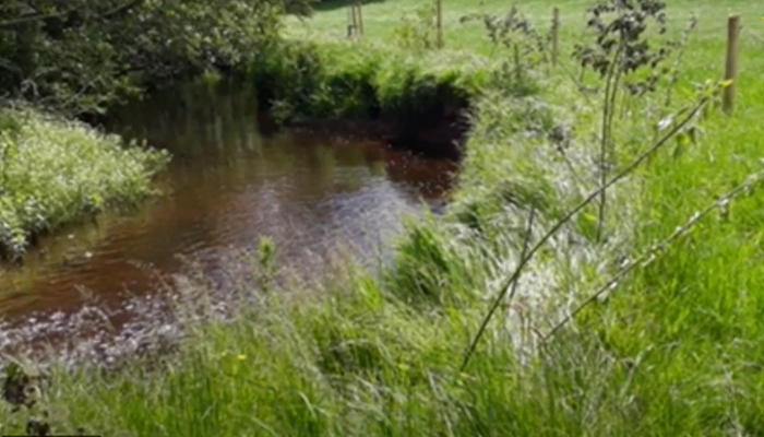 The seasonality of nitrate loss to rivers throughout the year