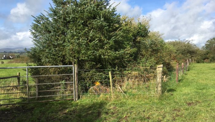 Thousands of kilometres of new fencing required on heavily stocked farms