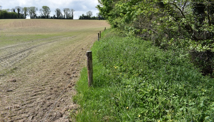 Farmers in ACRES CP: Monies available for Field Margins