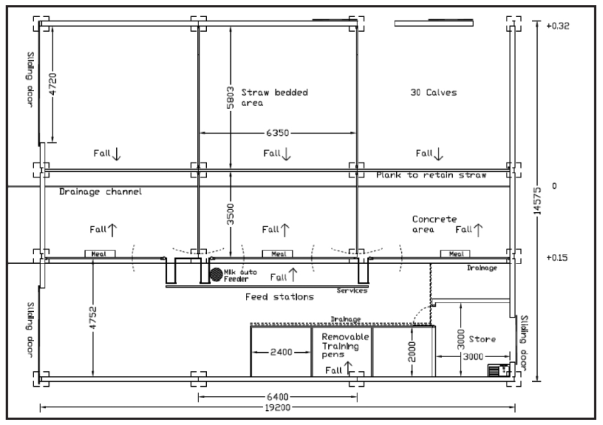 Calf shed suitable for an automatic calf feeder