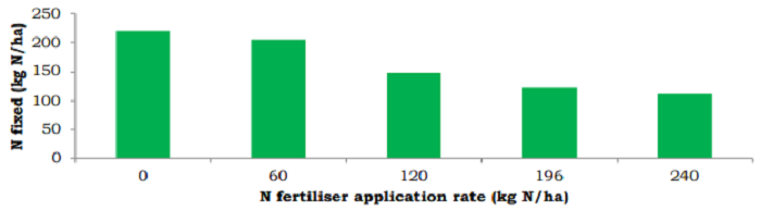 Figure 1: Nitrogen fixation (kg N/ha) on grass clover swards receiving 0, 60, 120, 196 and 240 kg N fertiliser/ha over three years