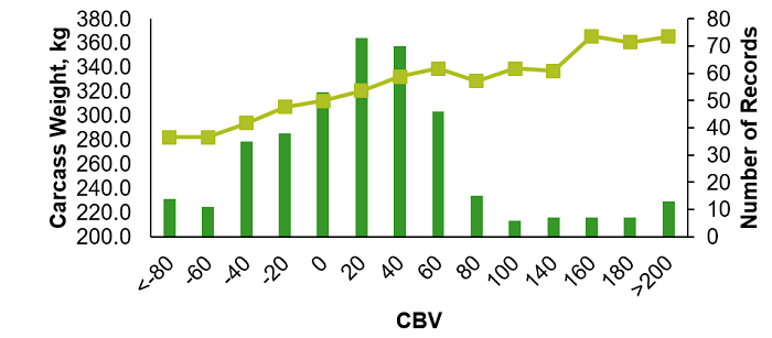 A bar chart showing carcass weight and CBVs of EveryCalf animals