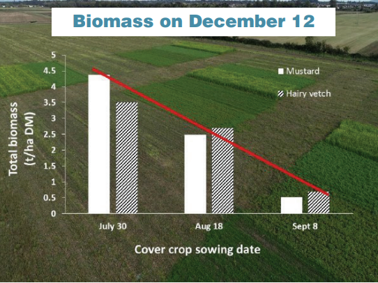 Figure 1: Cover crop sowing date experiment
