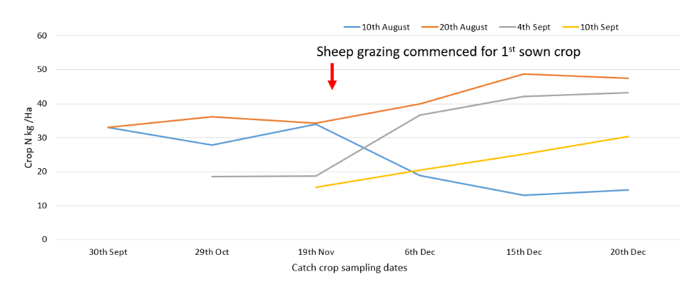 Figure 2. The effect of sowing date on crop N (kg N/Ha) of catch crops at six dates in autumn 2021.