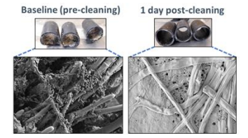 Figure 2. Scanning electron microscopy (SEM) images of the internal feed pipe surface before and after cleaning
