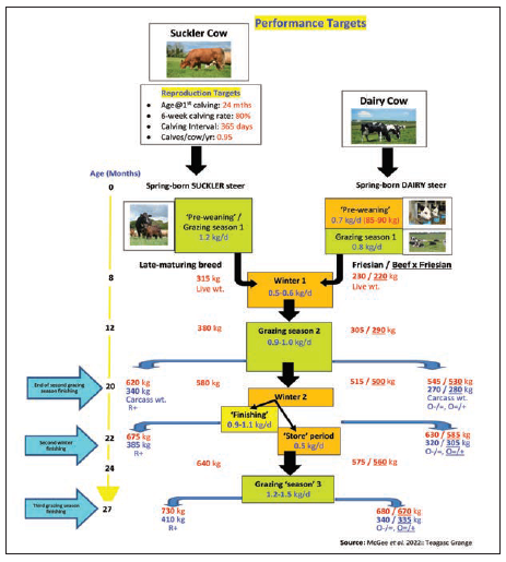 Figure 2 Stand 2  Animal performance targets for spring-born grass based suckler and dairy steer calf-to-beef production systems