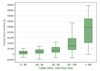 Figure 3: Distribution of ‘cattle other’ Family Farm Income by farm size 2022