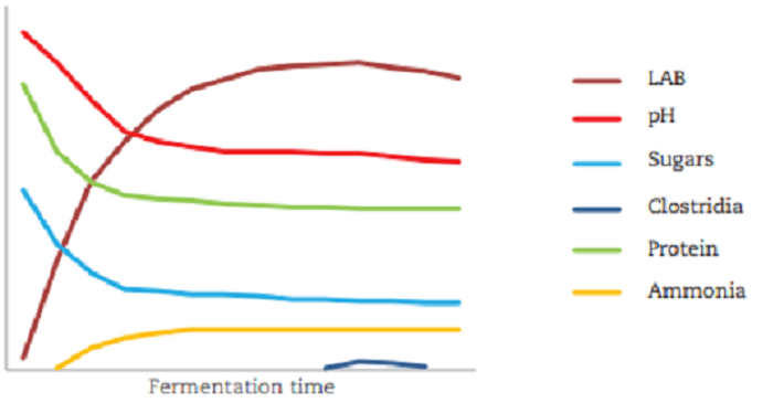 Figure 3 an example of good preservation