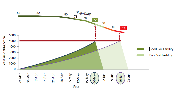 Table showing silage quality by soil fertility and cutting date
