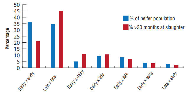 Figure 4: Contribution to national heifer herd and slaughtered 30 months of age (%)