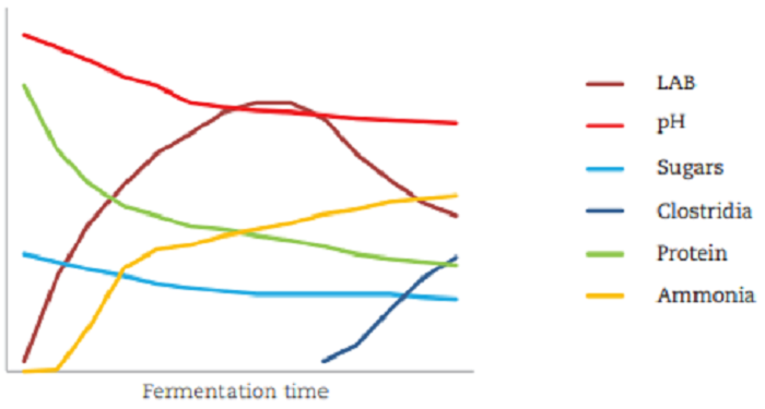 Figure 4: An example of poor fermentation
