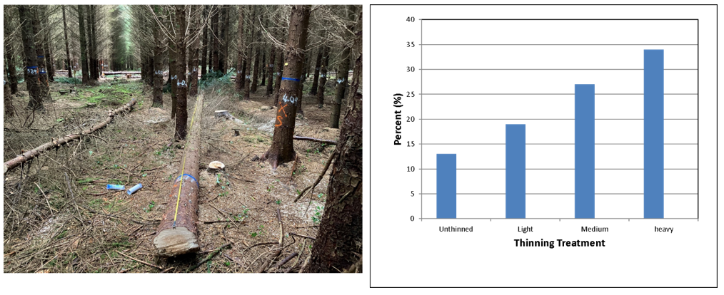 Figure 4 thinning practice