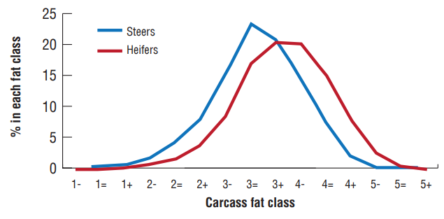 Figure 5: Carcass fatness score in 2021