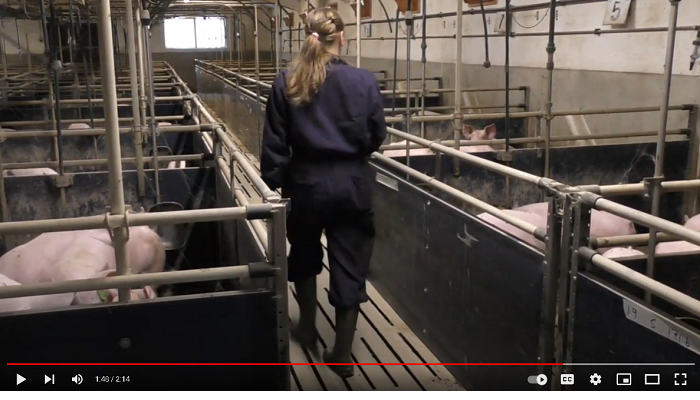 Florence Viard, PhD Student Pig Development Dept