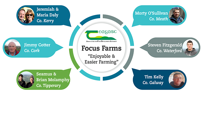 Dairy farming proving to be an attractive career choice at 50 hours per week