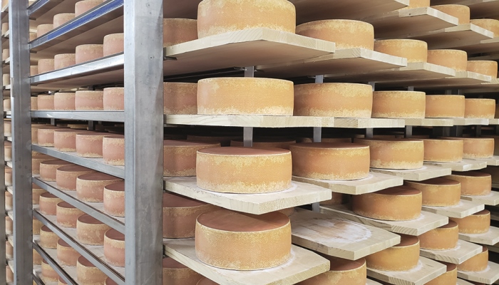 Food safety in Dairy Environments