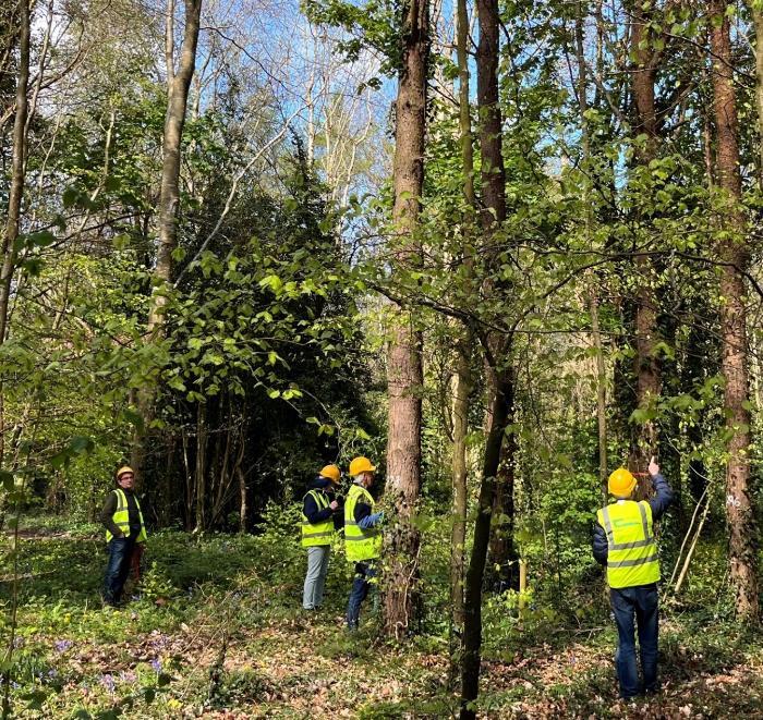 Forest owners in a smaller group carrying out a tree selection exercise to be presented to the rest of the groups.