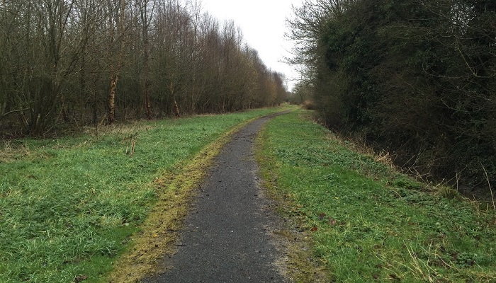 Why farmers should take a closer look at the NeighbourWood Scheme