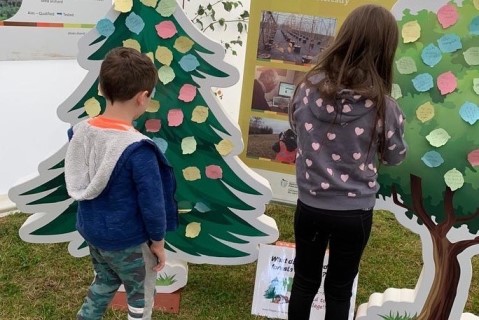 Children putting leave shaped post its on trees with their ideas on what forests and trees do fo us