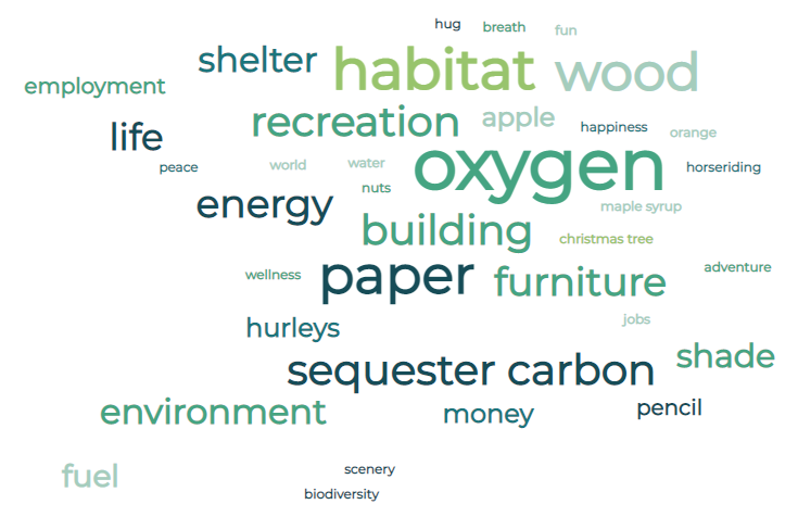 Infographic showing the most popular responses from children to the question What do forests and trees do for us. The most popular were Oxygen, Habitat, paper, wood, building, furniture, recreation, sequester carbon, energy, shelter, environment, hurleys