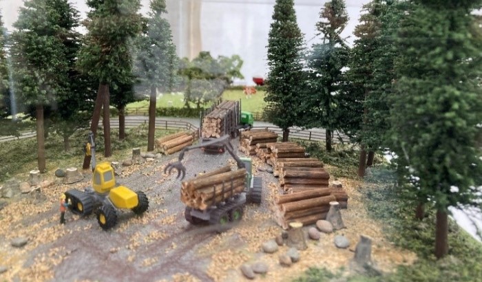 Engaging with children on trees and forestry 