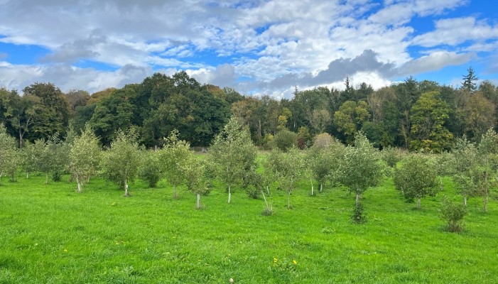Why should we study microbiomes in forestry? 