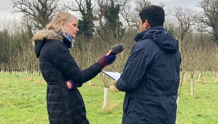 Trees: From Seed to Sawdust