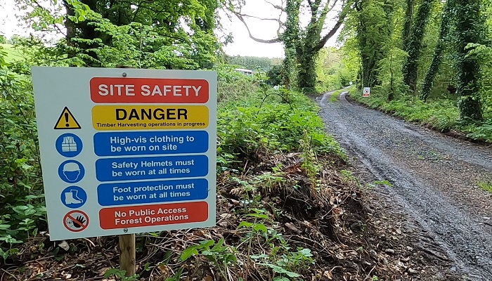 Forestry Health and Safety