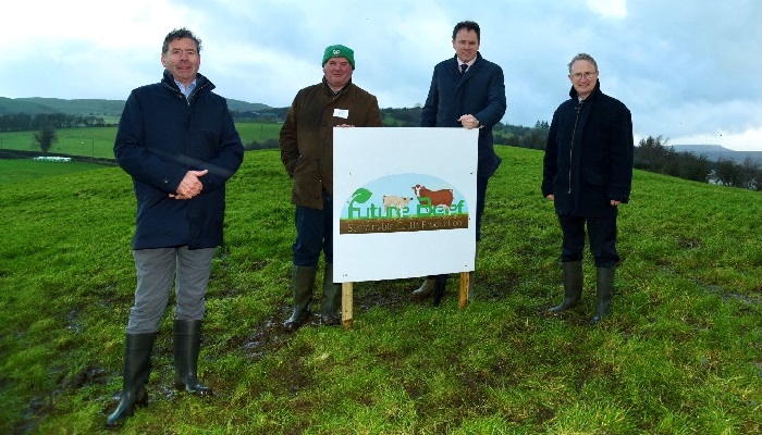 Teagasc Future Beef Programme - Sustainable Cattle Production