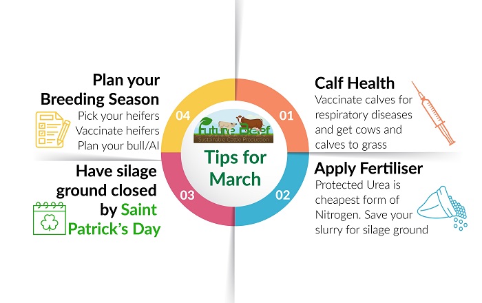 Tips for March from the Future Beef team