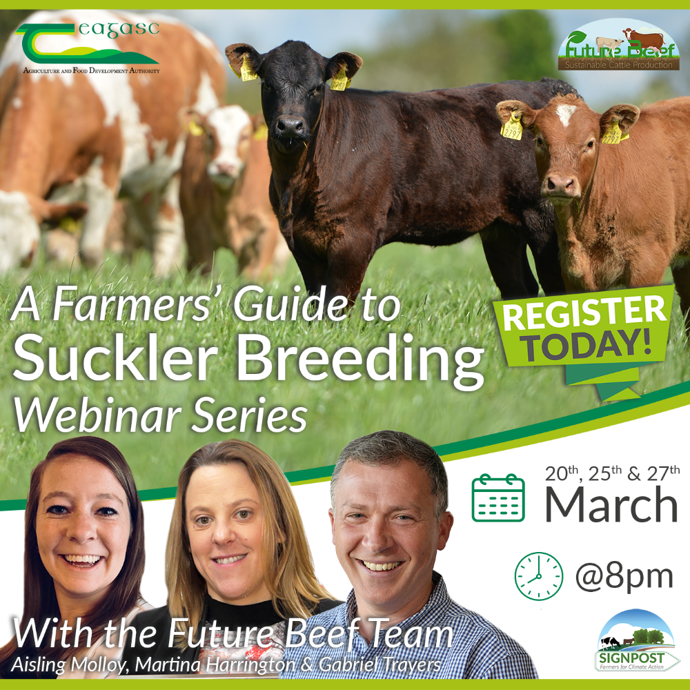 Future Beef Webinar Series