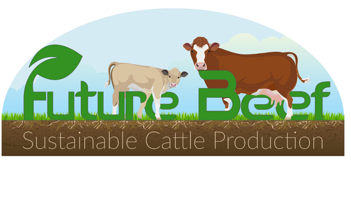 Future Beef Programme Featured Farmers Ruairi Cummins September/October Update
