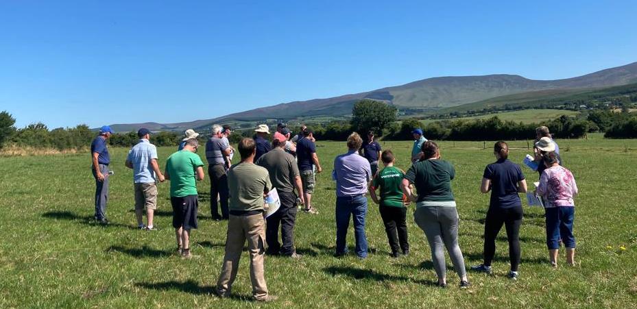 Grass 10 Discussion group at Stephen Ryan's farm