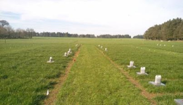 Increasing soil pH reduces fertiliser derived N2O emissions