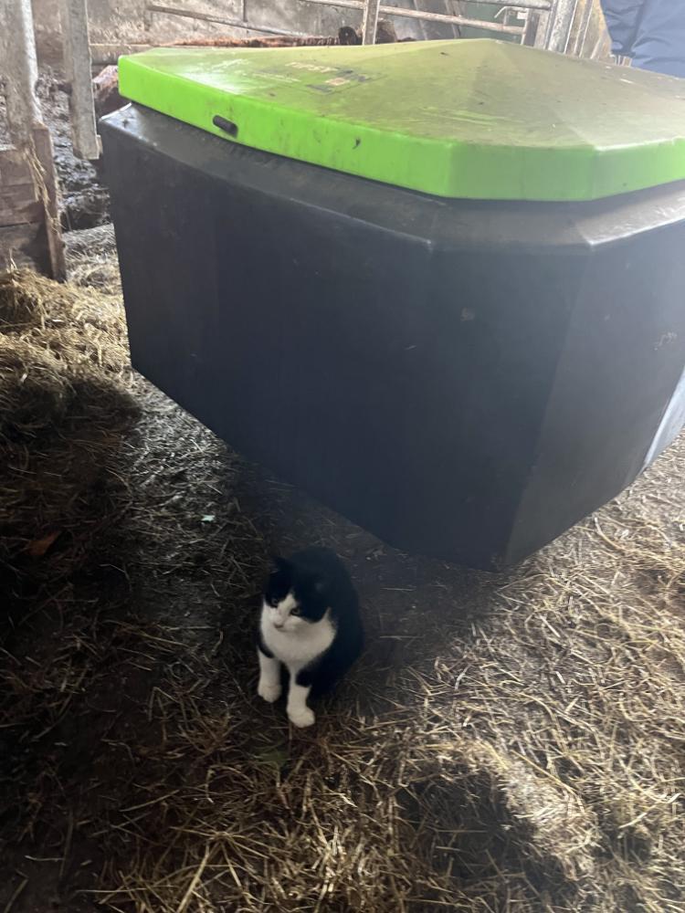 Meal container