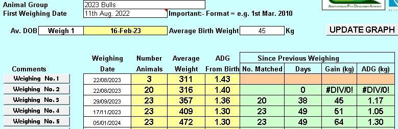 Bull weights