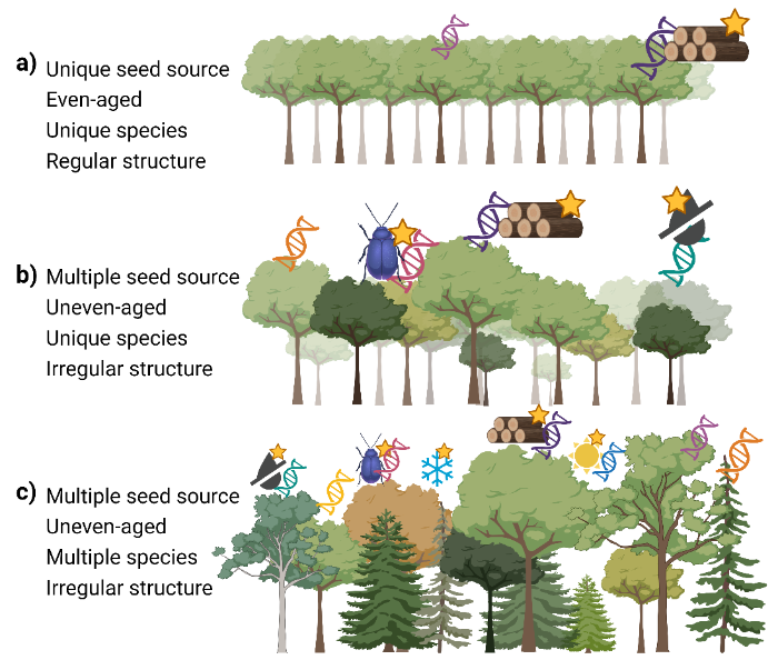 Genetic diversity differences