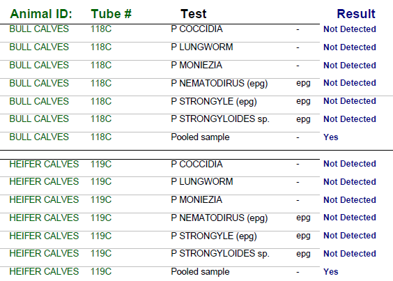FEC sample report