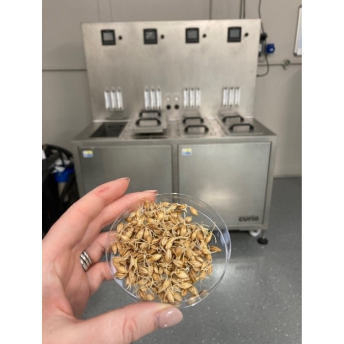 Germinated malt using the micro steep germinator vessel in the background