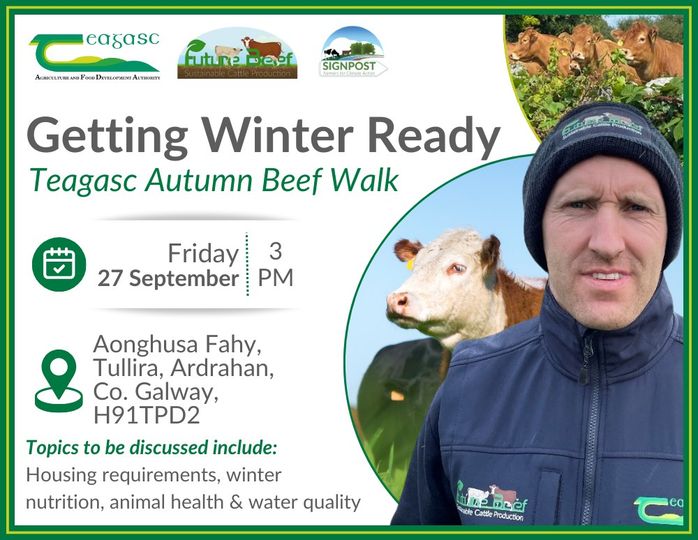 Graphic featuring a picture of Aonghusa Fahy, Teagasc, Signpost and Future Beef logos and details of the farm walk as listen below