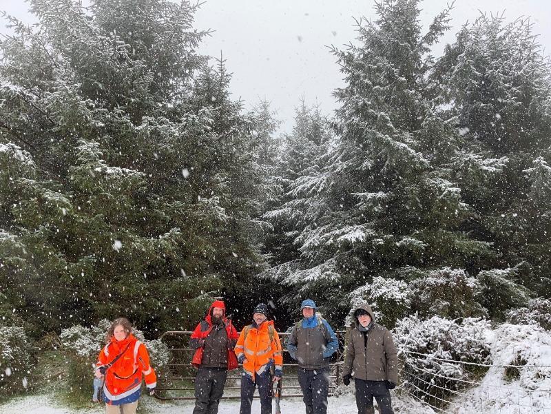 Getting ready for tree marking