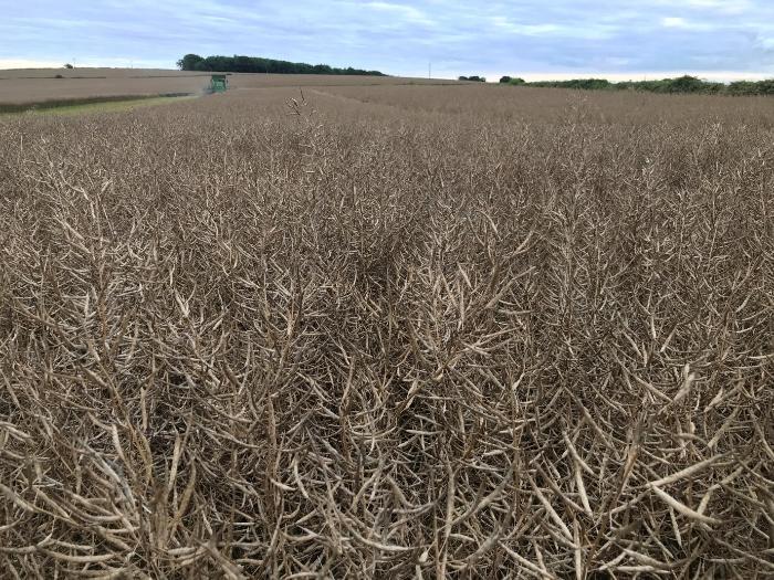 Glyphosate label changes