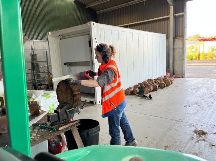 Grace sawing wooden discs to help prevent the wood cracking when stored